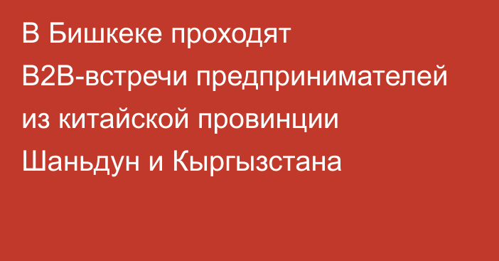 В Бишкеке проходят В2В-встречи предпринимателей из китайской провинции Шаньдун и Кыргызстана