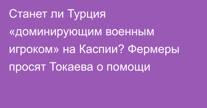 Станет ли Турция «доминирующим военным игроком» на Каспии? Фермеры просят Токаева о помощи