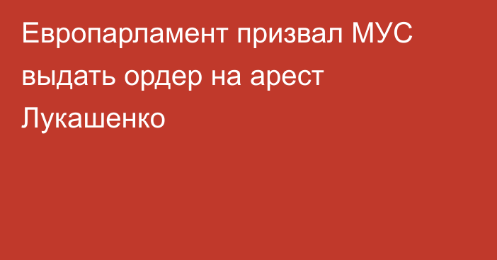 Европарламент призвал МУС выдать ордер на арест Лукашенко