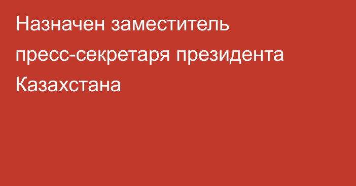 Назначен заместитель пресс-секретаря президента Казахстана