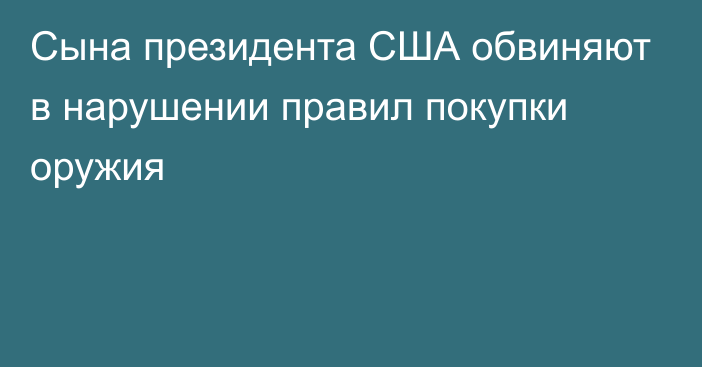 Сына президента США обвиняют в нарушении правил покупки оружия