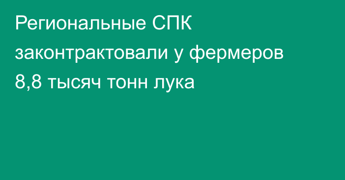 Региональные СПК законтрактовали у фермеров 8,8 тысяч тонн лука