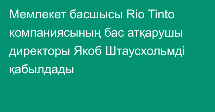 Мемлекет басшысы Rio Tinto компаниясының бас атқарушы директоры Якоб Штаусхольмді қабылдады