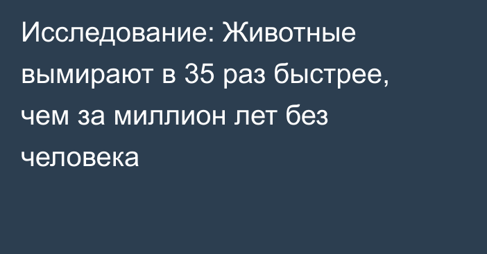 Исследование: Животные вымирают в 35 раз быстрее, чем за миллион лет без человека