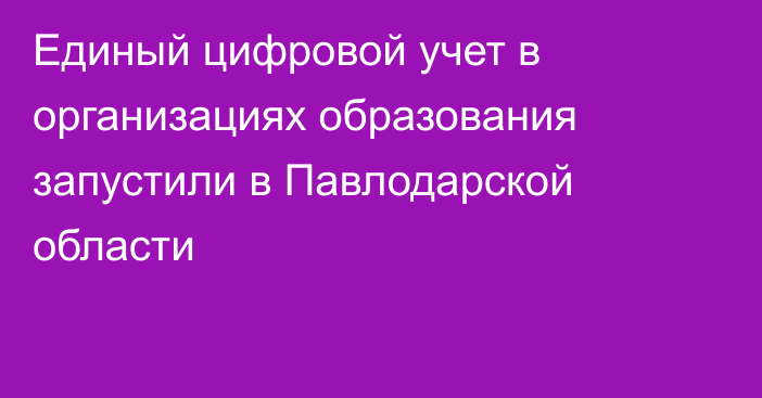 Единый цифровой учет в организациях образования запустили в Павлодарской области