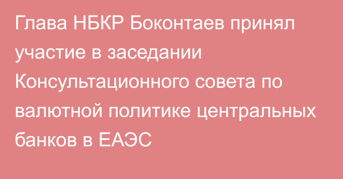 Глава НБКР Боконтаев  принял участие в  заседании Консультационного совета по валютной политике центральных банков в ЕАЭС