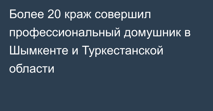 Более 20 краж совершил профессиональный домушник в Шымкенте и Туркестанской области