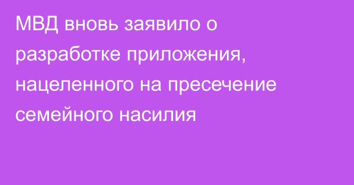 МВД вновь заявило о разработке приложения, нацеленного на пресечение семейного насилия