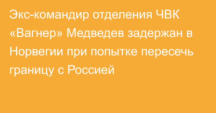 Экс-командир отделения ЧВК «Вагнер» Медведев задержан в Норвегии при попытке пересечь границу с Россией