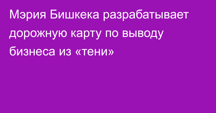 Мэрия Бишкека разрабатывает дорожную карту по выводу бизнеса из «тени»