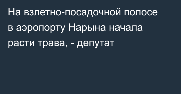 На взлетно-посадочной полосе в аэропорту Нарына начала расти трава, - депутат