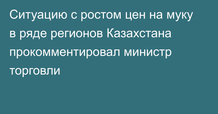 Ситуацию с ростом цен на муку в ряде регионов Казахстана прокомментировал министр торговли