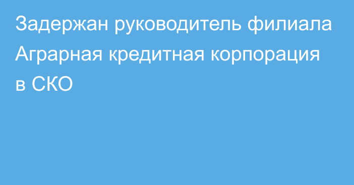 Задержан руководитель филиала Аграрная кредитная корпорация в СКО