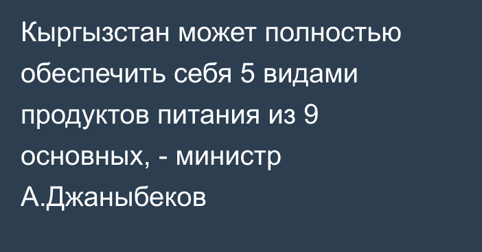 Кыргызстан может полностью обеспечить себя 5 видами продуктов питания из 9 основных, - министр А.Джаныбеков 