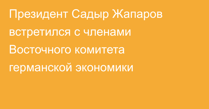 Президент Садыр Жапаров встретился с членами Восточного комитета германской экономики