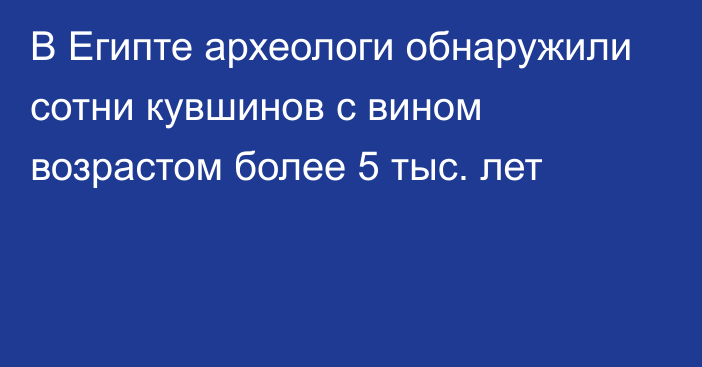 В Египте археологи обнаружили сотни кувшинов с вином возрастом более 5 тыс. лет