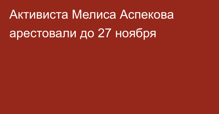 Активиста Мелиса Аспекова арестовали до 27 ноября