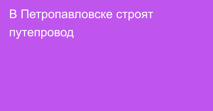 В Петропавловске строят путепровод