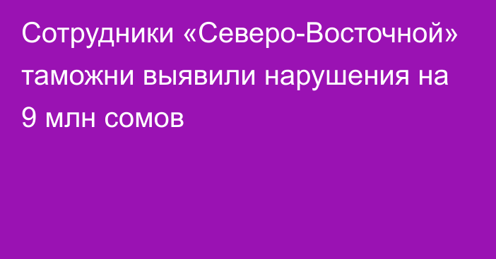 Сотрудники «Северо-Восточной» таможни выявили нарушения на 9 млн сомов