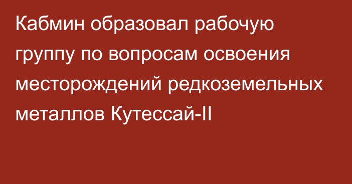 Кабмин образовал рабочую группу по вопросам освоения месторождений редкоземельных металлов Кутессай-II