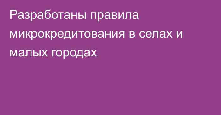 Разработаны правила микрокредитования в селах и малых городах