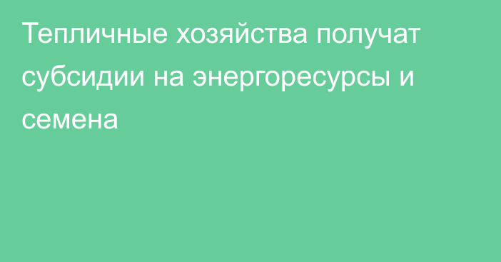 Тепличные хозяйства получат субсидии на энергоресурсы и семена