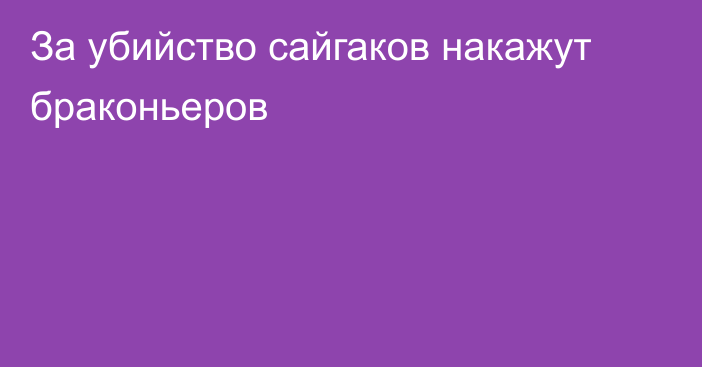 За убийство сайгаков накажут браконьеров