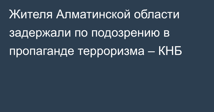 Жителя Алматинской области задержали по подозрению в пропаганде терроризма – КНБ