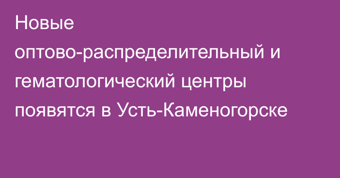 Новые оптово-распределительный и гематологический центры появятся в Усть-Каменогорске