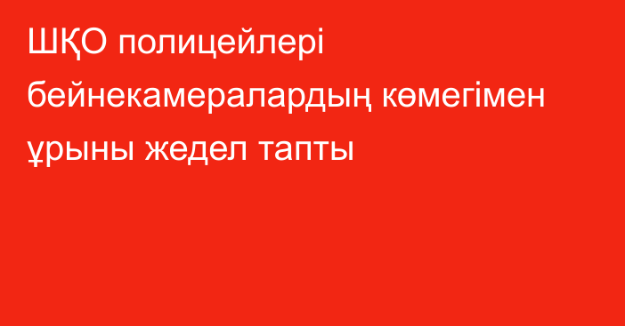 ШҚО полицейлері бейнекамералардың көмегімен ұрыны жедел тапты