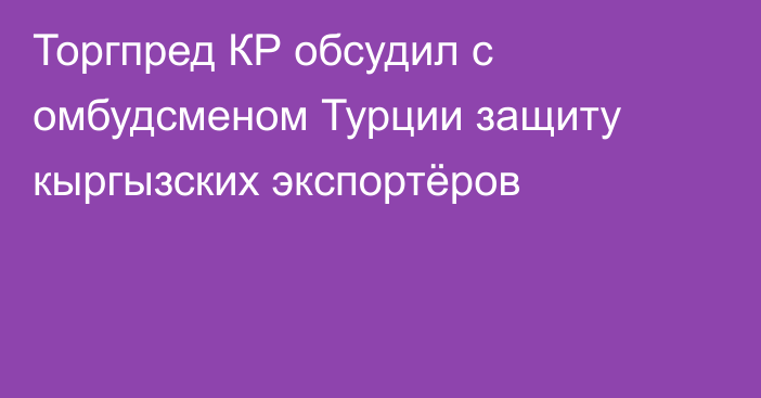 Торгпред КР обсудил с омбудсменом Турции защиту кыргызских экспортёров