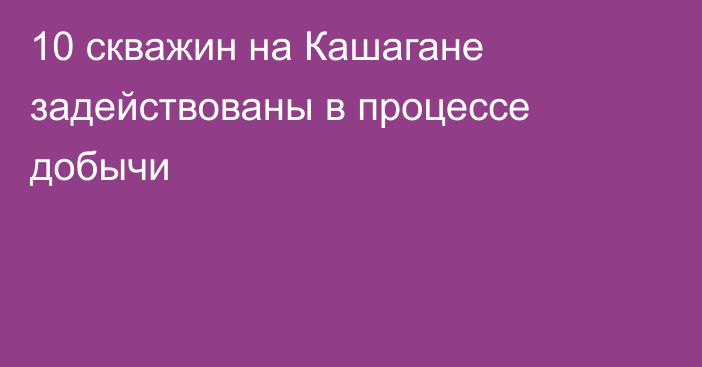 10 скважин на Кашагане задействованы в процессе добычи