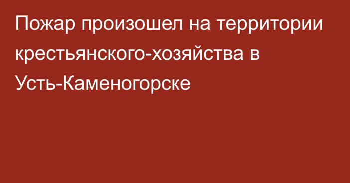 Пожар произошел на территории крестьянского-хозяйства в Усть-Каменогорске