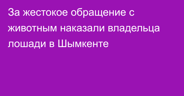 За жестокое обращение с животным наказали владельца лошади в Шымкенте