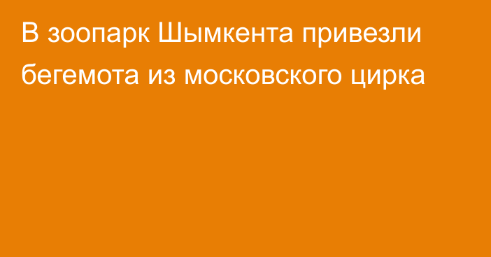 В зоопарк Шымкента привезли бегемота из московского цирка