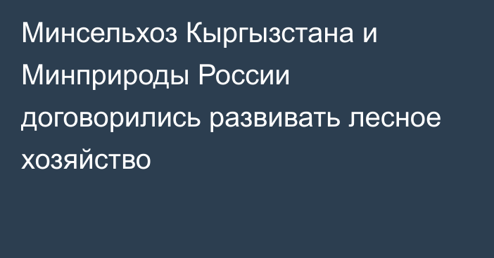 Минсельхоз Кыргызстана и  Минприроды России договорились развивать лесное хозяйство