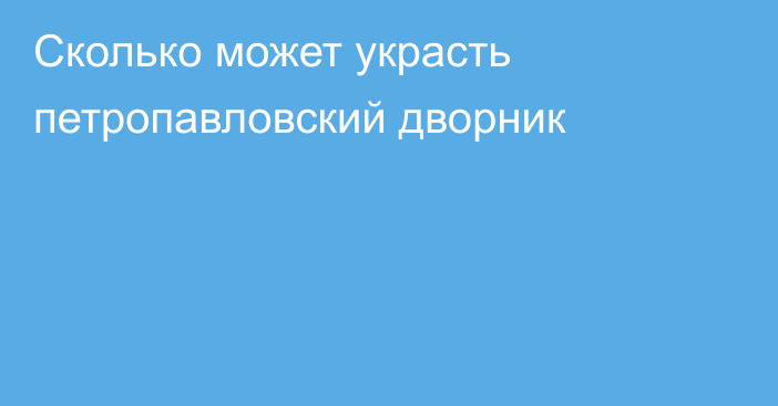 Сколько может украсть петропавловский дворник