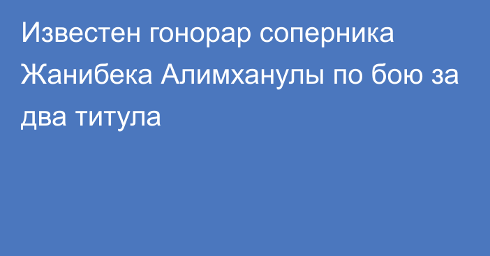 Известен гонорар соперника Жанибека Алимханулы по бою за два титула