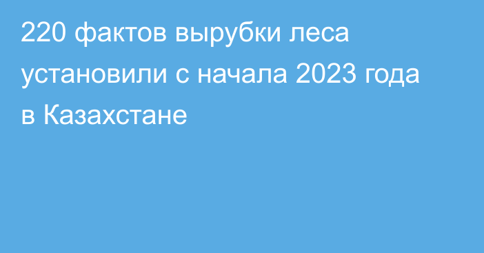 220 фактов вырубки леса установили с начала 2023 года в Казахстане