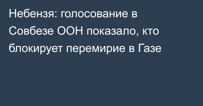 Небензя: голосование в Совбезе ООН показало, кто блокирует перемирие в Газе