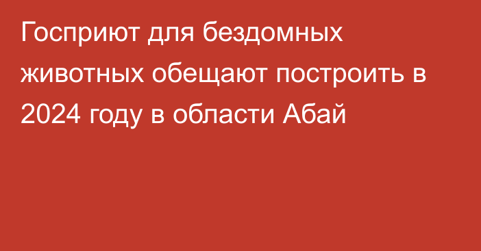 Госприют для бездомных животных обещают построить в 2024 году в области Абай