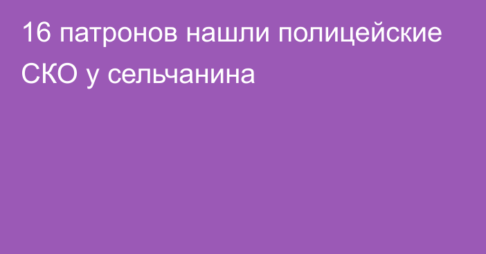 16 патронов нашли полицейские СКО у сельчанина