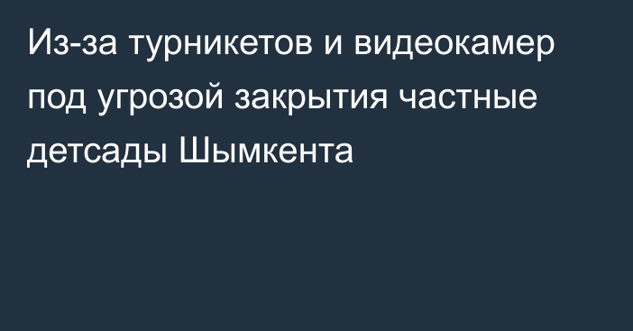 Из-за турникетов и видеокамер под угрозой закрытия частные детсады Шымкента