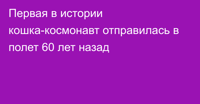 Первая в истории кошка-космонавт отправилась в полет 60 лет назад