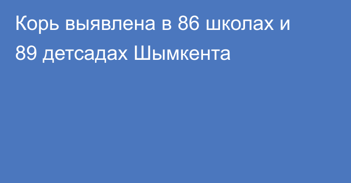 Корь выявлена в 86 школах и 89 детсадах Шымкента