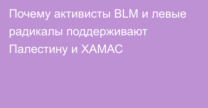 Почему активисты BLM и левые радикалы поддерживают Палестину и ХАМАС