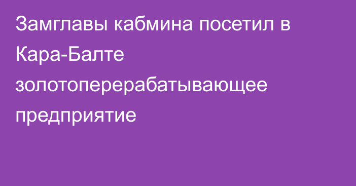 Замглавы кабмина посетил в Кара-Балте золотоперерабатывающее предприятие