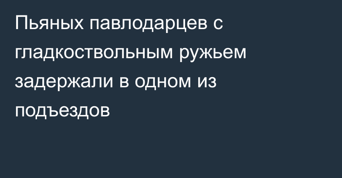 Пьяных павлодарцев с гладкоствольным ружьем задержали в одном из подъездов