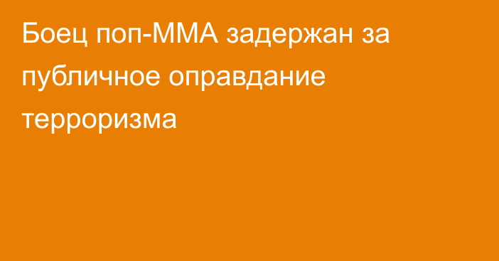 Боец поп-ММА задержан за публичное оправдание терроризма