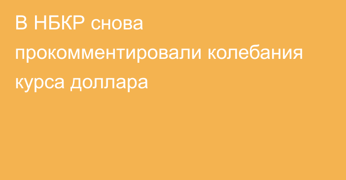 В НБКР снова прокомментировали колебания курса доллара